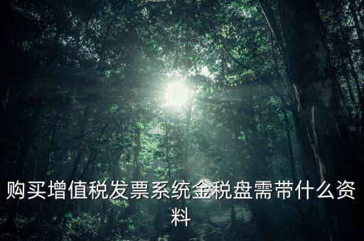 購(gòu)買(mǎi)金稅盤(pán)要什么資料，購(gòu)買(mǎi)增值稅發(fā)票系統(tǒng)金稅盤(pán)需帶什么資料