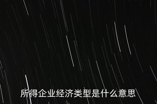 所得項(xiàng)目是什么意思，所得企業(yè)經(jīng)濟(jì)類(lèi)型是什么意思