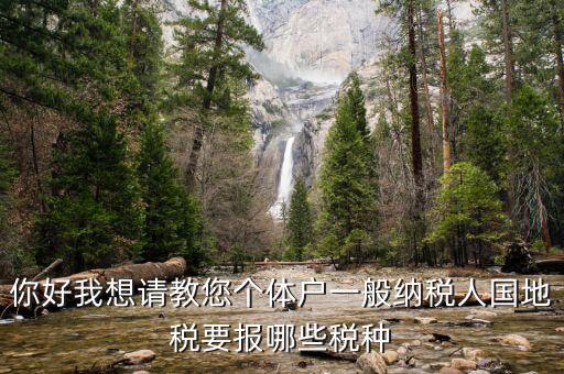 一般納稅人地稅交什么稅，地稅應(yīng)交哪些稅