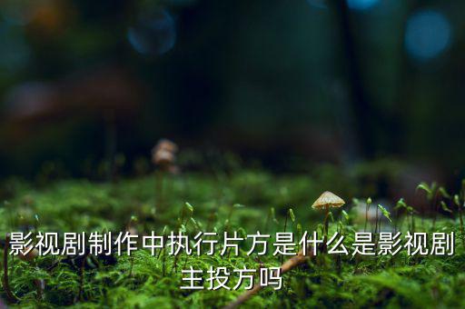 什么是分立主導方，股權(quán)分立是什么意思