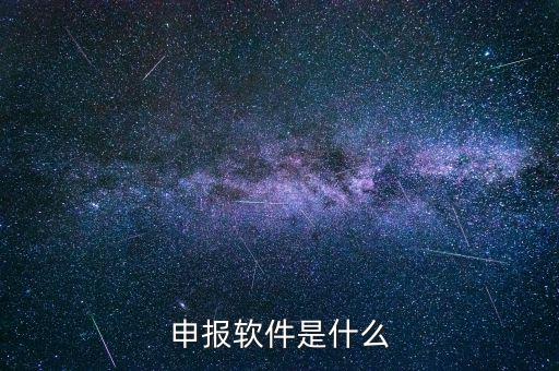 國(guó)稅申報(bào)軟件叫什么，申報(bào)軟件是什么
