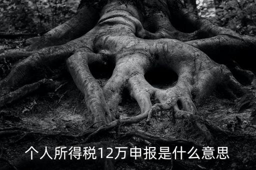 申報(bào)個(gè)稅是什么意思，12萬(wàn)以上個(gè)人所得稅申報(bào)是什么意思