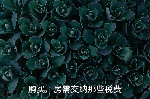 個人買廠房交什么稅，請問在重慶購買一手廠房需要交納那些稅費具體稅率是多少注