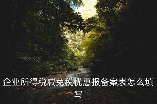 什么是稅收優(yōu)惠備案表，企業(yè)所得稅優(yōu)惠備案表填寫急