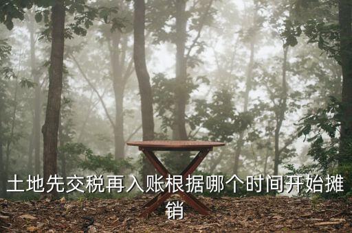 土地先交稅再入賬根據哪個時間開始攤銷
