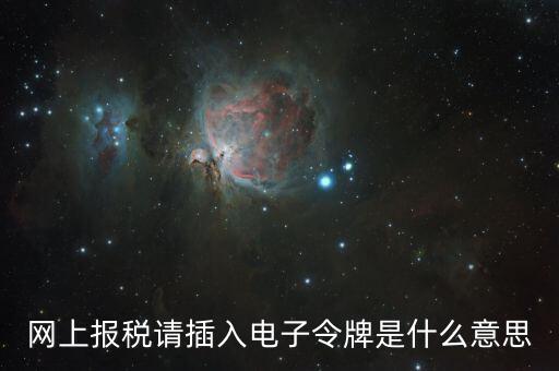 報稅數(shù)字證書口令是什么意思，網(wǎng)上報稅請插入電子令牌是什么意思