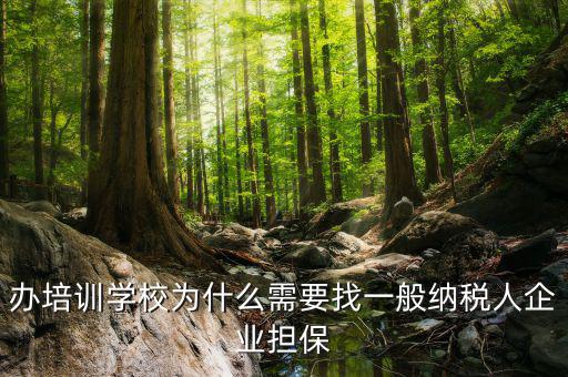 辦培訓學校為什么需要找一般納稅人企業(yè)擔保