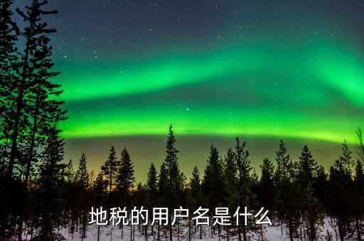 地稅的用戶名是什么