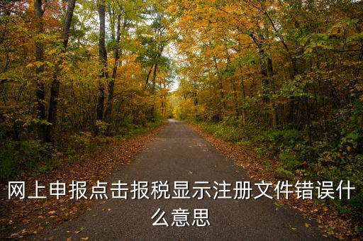 網(wǎng)上申報(bào)點(diǎn)擊報(bào)稅顯示注冊文件錯(cuò)誤什么意思