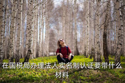 實(shí)名認(rèn)證稅務(wù)需要什么資料，在國(guó)稅局辦理法人實(shí)名制認(rèn)證要帶什么材料