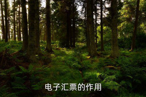 電子發(fā)票作用是什么，電子發(fā)票系統(tǒng)能做什么用