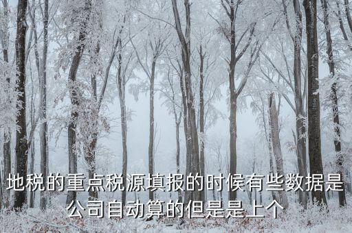 為什么重點稅源是上個月的數(shù)據(jù)，地稅的重點稅源填報的時候有些數(shù)據(jù)是公司自動算的但是是上個