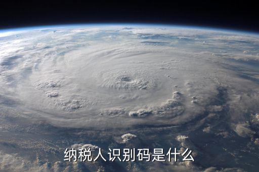 納銳人識別號是什么，納稅人識別碼是什么