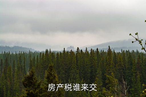 房產(chǎn)稅誰(shuí)來(lái)交