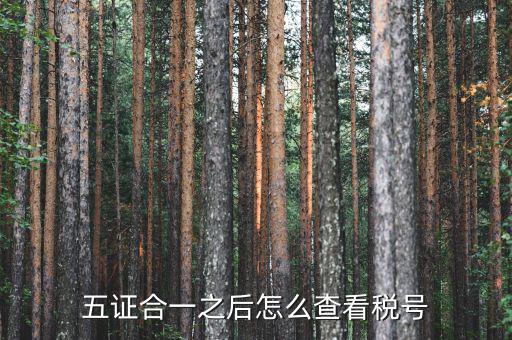 五證合一后納稅人識別號是什么，五證合一之后怎么查看稅號