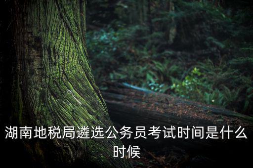 湖南地稅局遴選公務員考試時間是什么時候