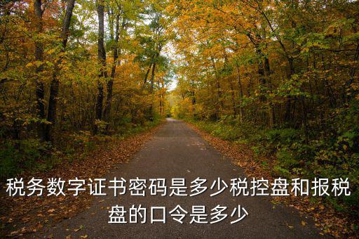 寧波國稅ca密碼是什么，寧波市電子稅務局登陸密碼