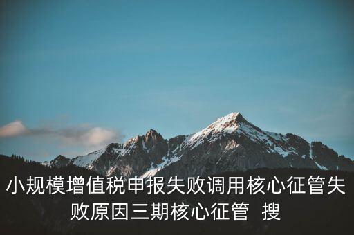 小規(guī)模增值稅申報失敗調用核心征管失敗原因三期核心征管  搜