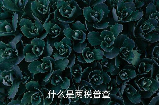 兩稅普查是什么意思，進(jìn)口兩稅是什么