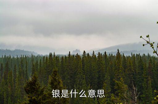 財稅庫銀是什么意思，銀是什么意思