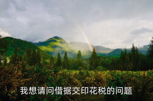 我想請(qǐng)問(wèn)借據(jù)交印花稅的問(wèn)題