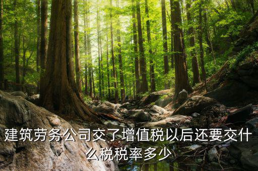建筑勞務公司交了增值稅以后還要交什么稅稅率多少