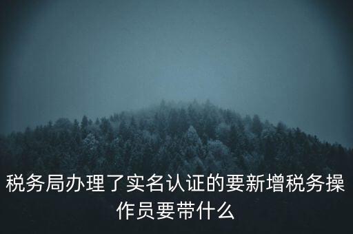 稅務(wù)局辦理了實名認(rèn)證的要新增稅務(wù)操作員要帶什么