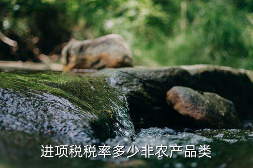 進項稅稅率多少非農產(chǎn)品類