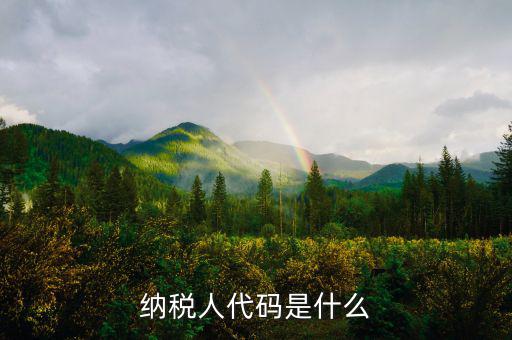 個(gè)人納稅人代碼是什么，納稅人代碼是什么