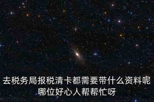 打稅務(wù)清單需要帶什么，我是個體商戶營業(yè)執(zhí)照掉了想去打印一份稅務(wù)清單需要帶些什么