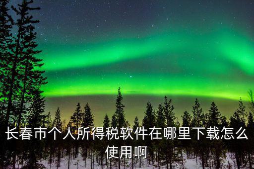 長春市個人所得稅軟件在哪里下載怎么使用啊