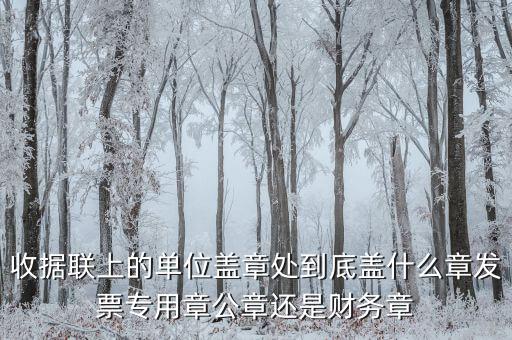 收據(jù)蓋章蓋是什么樣，收據(jù)上蓋什么章