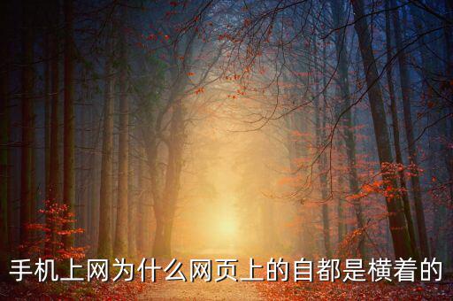 手機(jī)上網(wǎng)為什么網(wǎng)頁上的自都是橫著的