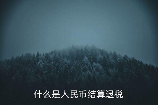 匯算結(jié)算退稅是什么，什么是人民幣結(jié)算退稅