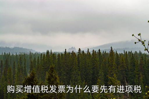 為什么要買進(jìn)項(xiàng)票，購買增值稅發(fā)票為什么要先有進(jìn)項(xiàng)稅