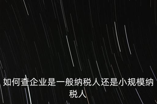 查詢公司什么納稅人，如何查企業(yè)是一般納稅人還是小規(guī)模納稅人