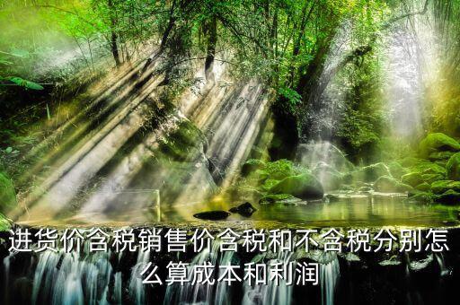 17 為什么不開(kāi)專票，為什么對(duì)消費(fèi)者個(gè)人不得開(kāi)具專用發(fā)票