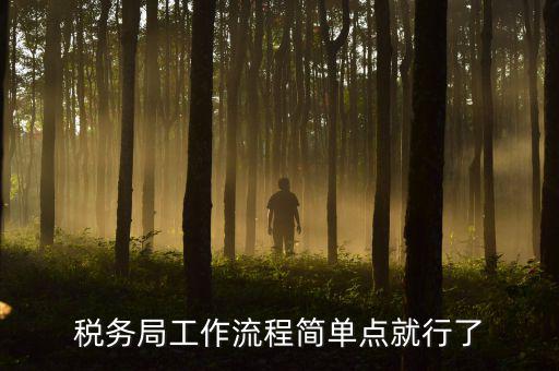 稅務(wù)局上班要什么手續(xù)，稅務(wù)局工作流程簡(jiǎn)單點(diǎn)就行了