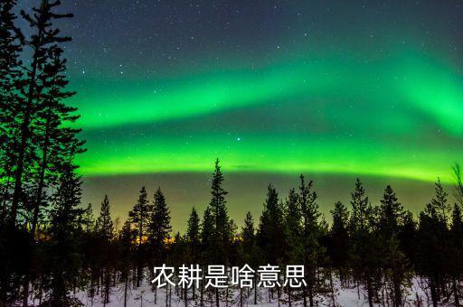農(nóng)業(yè)機耕是什么意思，東機耕是什么