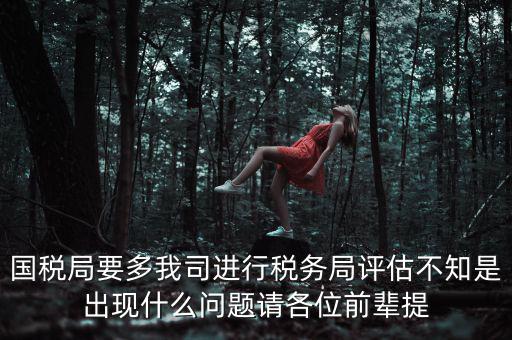國稅評(píng)估局是干什么的，國稅局是做什么的說簡單點(diǎn)兒吧謝謝