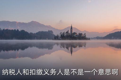 稅務人是什么，什么是納稅義務人
