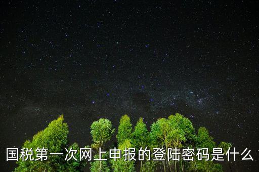 國稅登陸名和密碼是什么，國稅第一次網(wǎng)上申報的登陸密碼是什么