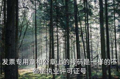 公章和發(fā)票章號(hào)碼是什么，發(fā)票專用章和公章上的號(hào)碼是一樣的不都是執(zhí)業(yè)許可證號(hào)