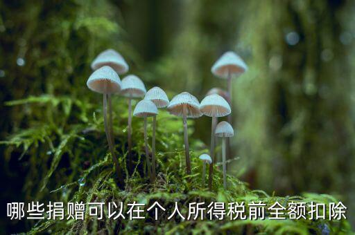 什么捐贈可以稅前扣除，求助企業(yè)在所得稅前可以扣除的捐贈支出