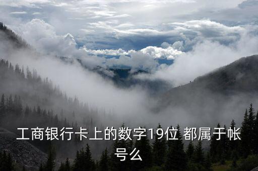 工行19位賬號應(yīng)用號是什么，請解釋工商銀行19位帳號的組成含義