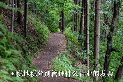 地稅涉及的行業(yè)都是什么，國稅地稅分別管理什么行業(yè)的發(fā)票