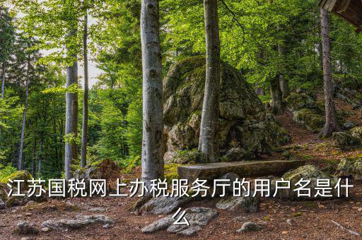 江蘇國稅用戶名密碼是什么意思，江蘇國稅網(wǎng)上辦稅服務(wù)廳的用戶名是什么