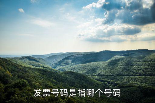 什么是發(fā)票的查詢(xún)號(hào)，發(fā)票號(hào)碼是指哪個(gè)號(hào)碼