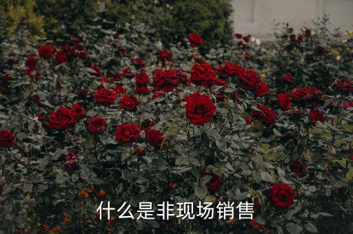什么是非現(xiàn)場消費食品，什么是非現(xiàn)場消費的食品