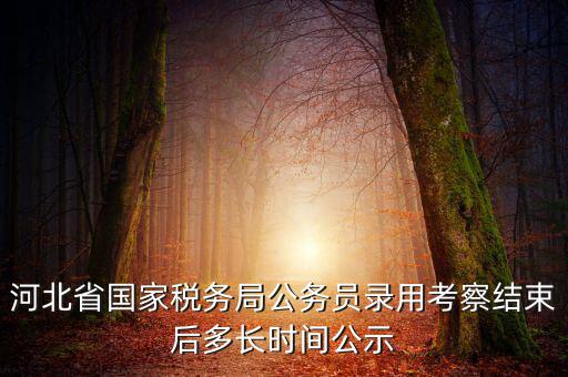 國(guó)稅一般什么時(shí)候公示，河北省國(guó)家稅務(wù)局公務(wù)員錄用考察結(jié)束后多長(zhǎng)時(shí)間公示